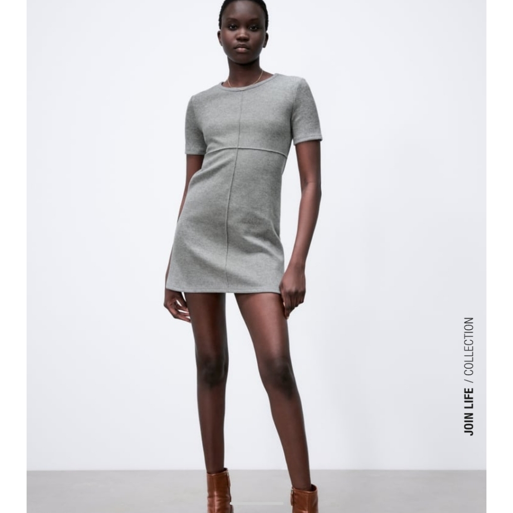 Zara dress
